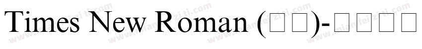 Times New Roman (正文)字体转换